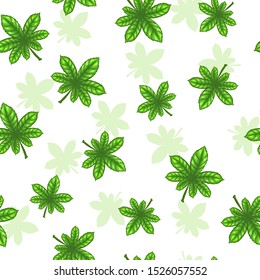 Seamless pattern with green chestnut leaves on the white background. Vector floral texture.
