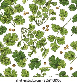 Seamless pattern, green coriander branches and leaves, vector sketch illustration. Pattern for textiles, green coriander packaging. Sketch pattern botanical with green coriander