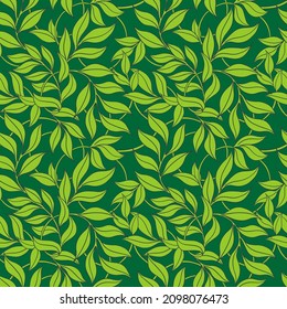 Seamless pattern of green creeping shoots. Hanging leaves of tradescantia, landscaping. Vector drawing for wallpaper, covers, packaging paper. Green ivy.