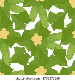 Seamless pattern with green fresh cucumbers, leaves, flowers. Vegetable continuous picture. Vegetarian food, agricultural eco product. Drawn by hand. Endless texture for various design, print.