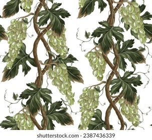 Seamless pattern with green grapes branches. Vector