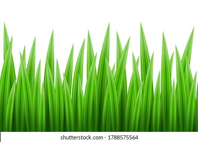 Seamless pattern of green grass isolated over white background, decorative border from bright lush summer grass for your creative design