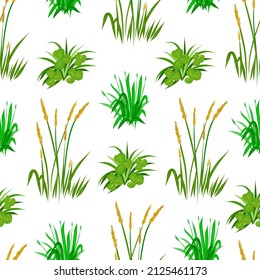 Seamless pattern with green herbs. Clover and wheatgrass on a white background.