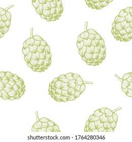 Seamless pattern with green hop of beer on white background. Vector hand drawn illustration in engraving style. Good for fabric print, wrapping paper, wallpapers, cards.