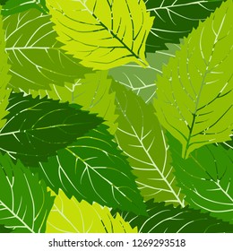seamless  pattern green leaf. Seamless background with green leaf. Repeating texture.
