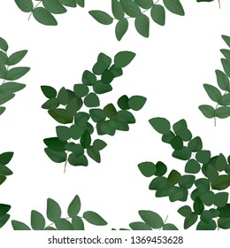 Seamless pattern with green leaf, realist flat style. Herbal eucalyptus greenery repeat pattern. Great for print natural design, textile, fabric, wallpaper, surface.