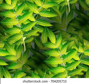 Seamless pattern with green leaves