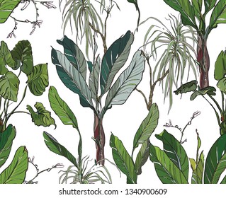 seamless Pattern green Leaves and Banana Trees Palms Jungle Exotic Rainforest Isolated elements Encyclopedia Botanical Drawing Graphics Realistic