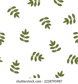 Seamless pattern of green leaves and branches white background. Beautiful print for textiles, wallpaper, packaging cartoon style.