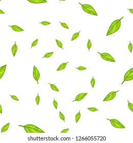 Seamless pattern of green leaves doodle. Vector illustration on white background.