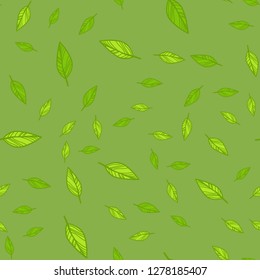 Seamless pattern of green leaves doodle. Vector illustration on color background.