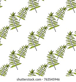 Seamless pattern of green leaves of a fern. Freehand drawing with ink.