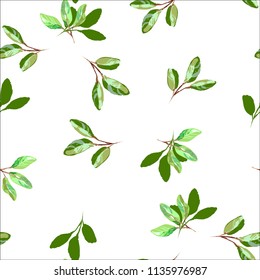 Seamless pattern of green leaves, foliage natural branches, herbs, tropical plant, Vector fresh beauty rustic eco friendly background on white