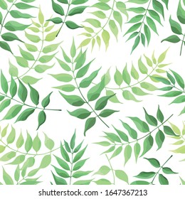 Seamless pattern of green leaves, foliage natural branches, herbs on white background. Floral wallpaper. Vector illustration.	