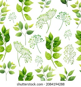 Seamless pattern with green leaves, foliage natural branches, herbs on white background. Floral wallpaper. Vector illustration.	