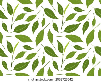 Patrón sin foco con hojas verdes. Hojas verdes frescas sobre fondo blanco. Tejidos. Ilustración botánica vectorial para papel pintado, embalaje, embalaje, textil, scrapbooking.