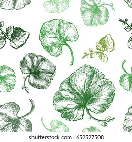 Seamless pattern from green leaves of herbaceous plants on a white background.