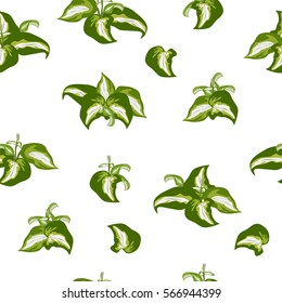 Seamless pattern of green leaves of hosta plants. Floral background for textile, cover, wallpaper, gift packaging, printing, scrapbooking.