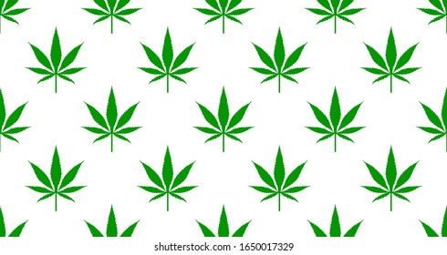Seamless pattern with green leaves of marijuana, background with cannabis. Vector illustration