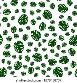 Seamless pattern with green leaves of monstera on a white background. Vector illustration. Hand drawing.