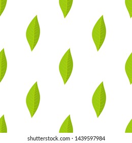 Seamless pattern with green leaves oforange fruit on white background. Vector illustration for design, web, wrapping paper, fabric, wallpaper.
