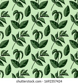 Seamless pattern with green leaves on the light green background. Endless texture for design. Decorative seamless background the best for greeting cards, interior, cosmetics and textile.