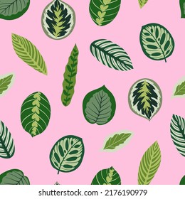 Patrón sin foco con hojas verdes sobre fondo rosado. Ilustración vectorial dibujada a mano. Texturas botánicas para impresión, textil, tela, embalaje