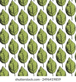 Seamless pattern with green leaves on white background. Hand drawn illustration for background.