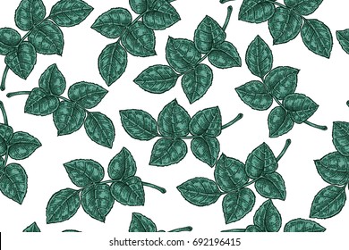 Seamless pattern with green leaves on white background. Vector illustration for fabrics, gift packaging, textiles and card design