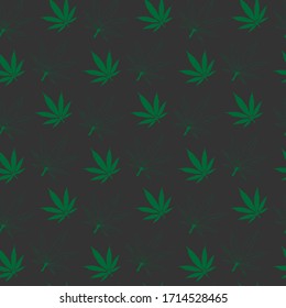 patrón transparente de hojas verdes y contorno verde de hojas de cáñamo sobre un fondo gris oscuro