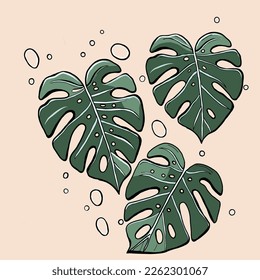 Seamless pattern with Green leaves of plant Monstera on pink background. Perfect content for wallpaper, postcards, posters, fabric, napkins and other creative projects.