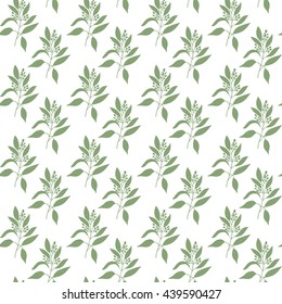 Seamless pattern green leaves of sandalwood