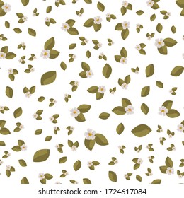 Seamless pattern with green leaves, tea, branches, foliage, petals on white. Floral background for wrapping paper, fabric, fabric, cards, invitations, wallpapers, web design Vector illustration