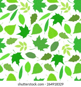 Seamless pattern of green leaves. Various veined leaves on white background.