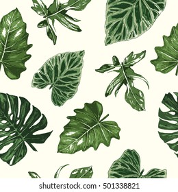 Seamless pattern of green leaves,houseplants.Botanical vector design illustration.Design for banner, poster, card, invitation, placard, brochure, flyer.