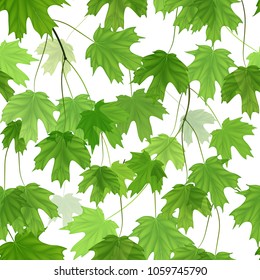 seamless pattern with green maple leaves. Vector.