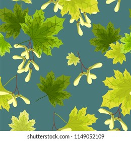 Seamless pattern of green maple leaves decorated with seeds on a green background. Vector illustration.
