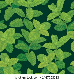 Seamless pattern of green mint leaves on background template. Vector set of herbal element for advertising, packaging design, greeting card and fashion design.