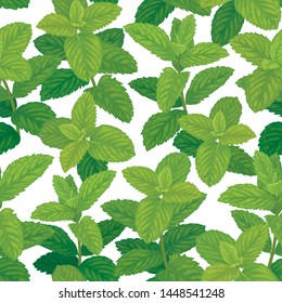 Seamless pattern of green mint leaves on background template. Vector set of herbal element for advertising, packaging design, greeting card and fashion design.