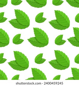 Seamless pattern with green mint leaves.Vector graphics.