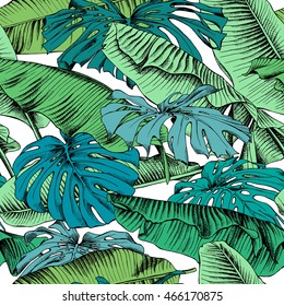 Seamless pattern with a green Monstera and Banana leaves on a white background. Vector illustration.
