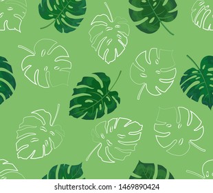 Seamless pattern of green monstera leaves and white outline on green background