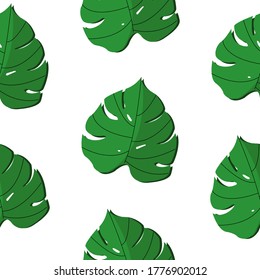 A seamless pattern with green monstera leaves. Tropical leaves pattern. 