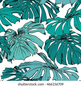 Seamless pattern with a green Monstera leaves on a white background. Vector illustration.