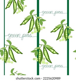 Seamless pattern of green pea twigs with leaves and pods of open peas. Vegetables without nitrates, farm product. lettering without lifting your hands off the line.