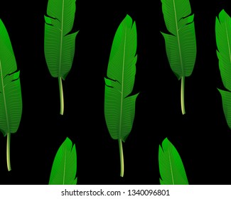 Seamless pattern of green realistic strelitzia leaves. Graphic design of fashion, interior, wrapping, packaging products. background, backdrop, print for clothes,towels, fabric, textile, website card