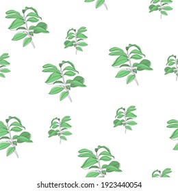 Seamless pattern green sprout abstraction in minimalism