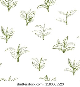 seamless pattern with green tea, hand-drawn leaves and branches of tea