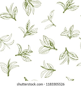 seamless pattern with green tea, hand-drawn leaves and branches of tea