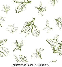 seamless pattern with green tea, hand-drawn leaves and branches of tea